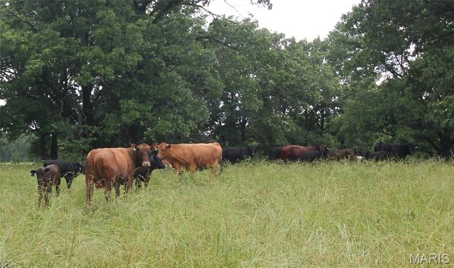 16290 Maries Road 303, Vienna, MO 65585