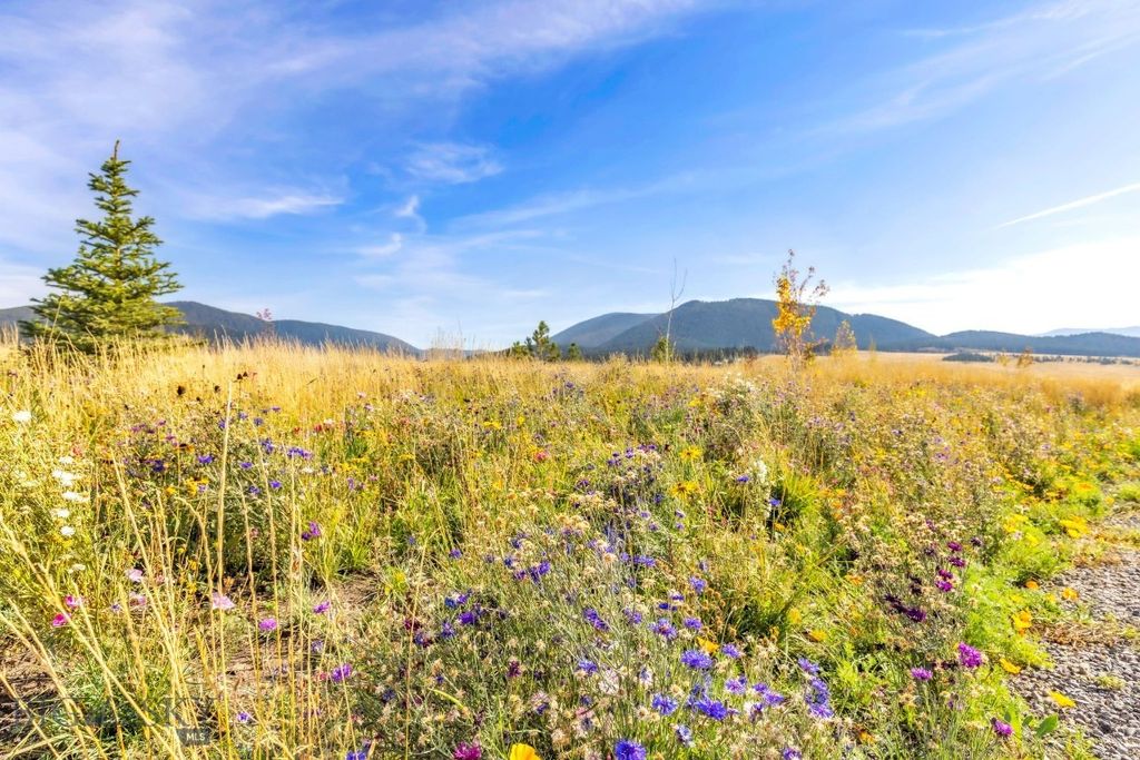 346 Lumine Ln. E, Bozeman, MT 59718 photo 4