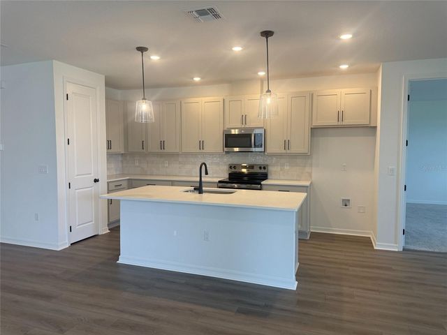 30157 MISTY PINES ROAD, Mount Dora, FL 32757