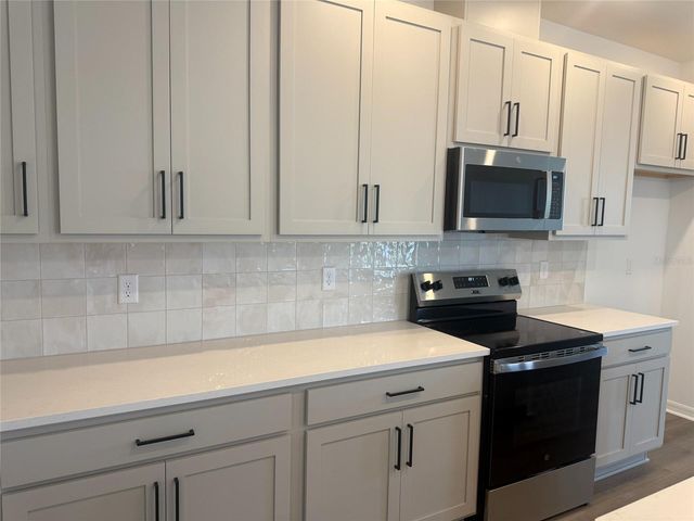 30157 MISTY PINES ROAD, Mount Dora, FL 32757
