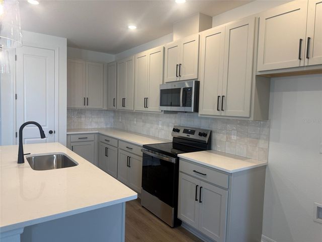 30157 MISTY PINES ROAD, Mount Dora, FL 32757