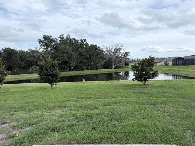 1917 CRICKET CRADLE DRIVE, Kissimmee, FL 34746