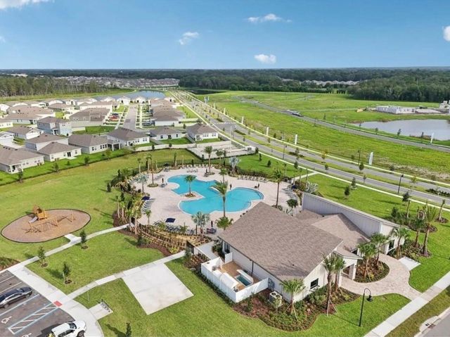 1917 CRICKET CRADLE DRIVE, Kissimmee, FL 34746