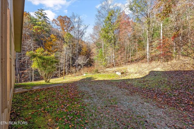 320 Caney Branch Rd, Tellico Plains, TN 37385