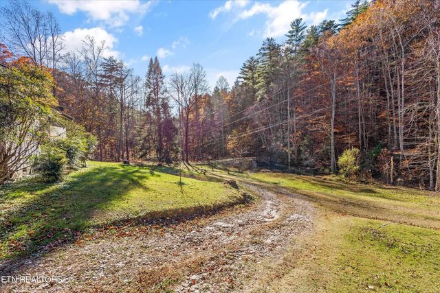 320 Caney Branch Rd, Tellico Plains, TN 37385