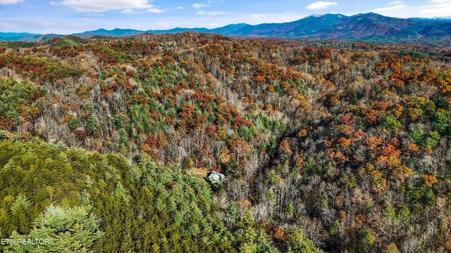 320 Caney Branch Rd, Tellico Plains, TN 37385