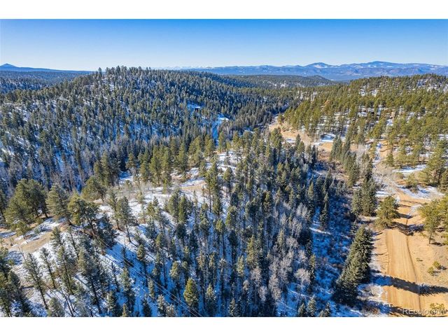 772 E Bison Creek Trl, Florissant, CO 80816