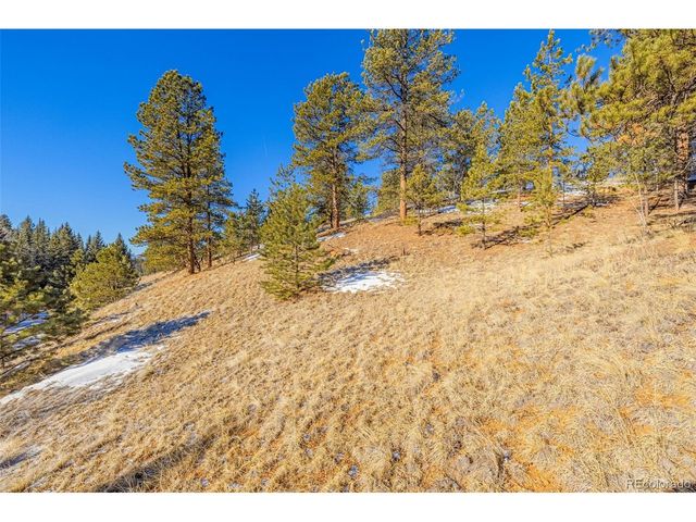 772 E Bison Creek Trl, Florissant, CO 80816