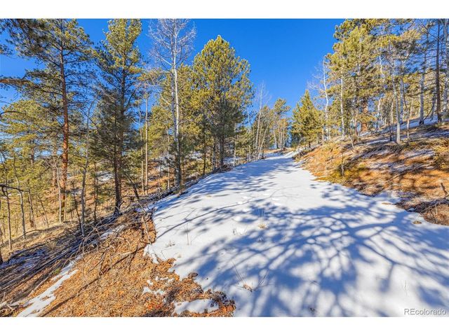 772 E Bison Creek Trl, Florissant, CO 80816