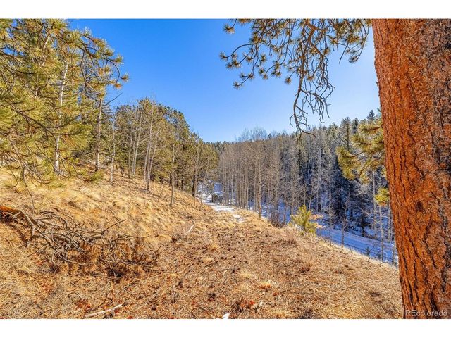 772 E Bison Creek Trl, Florissant, CO 80816