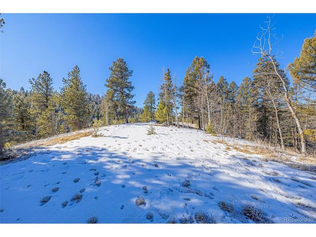 772 E Bison Creek Trl, Florissant, CO 80816