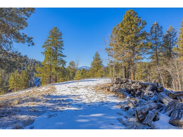 772 E Bison Creek Trl, Florissant, CO 80816