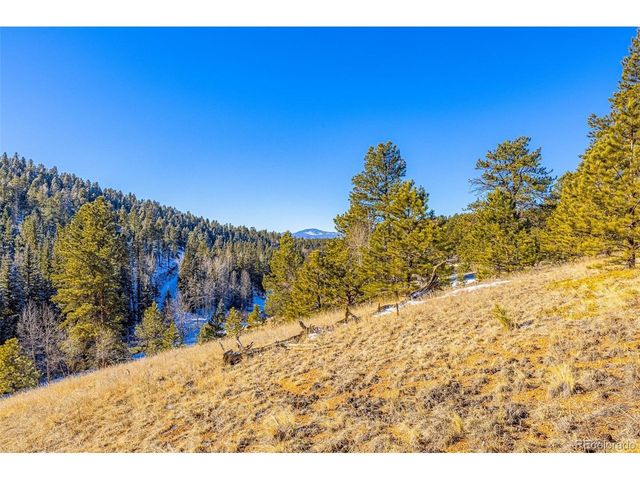 772 E Bison Creek Trl, Florissant, CO 80816