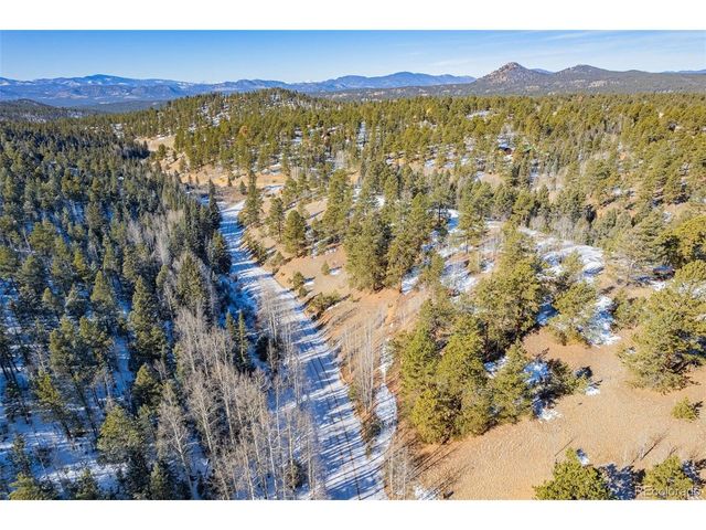 772 E Bison Creek Trl, Florissant, CO 80816