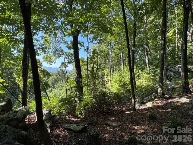 107 Copperhead Cove, Fairview, NC 28730