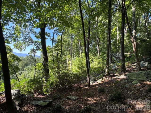 107 Copperhead Cove, Fairview, NC 28730