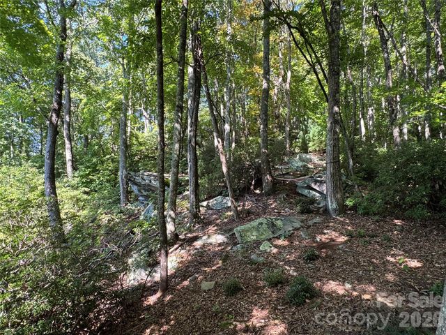107 Copperhead Cove, Fairview, NC 28730