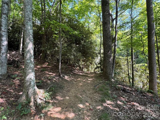 107 Copperhead Cove, Fairview, NC 28730