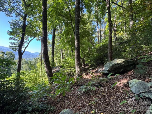 107 Copperhead Cove, Fairview, NC 28730