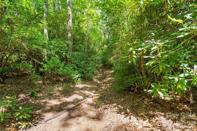 107 Copperhead Cove, Fairview, NC 28730
