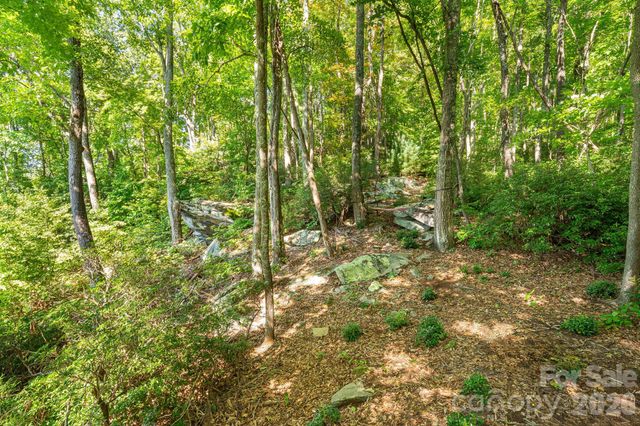 107 Copperhead Cove, Fairview, NC 28730