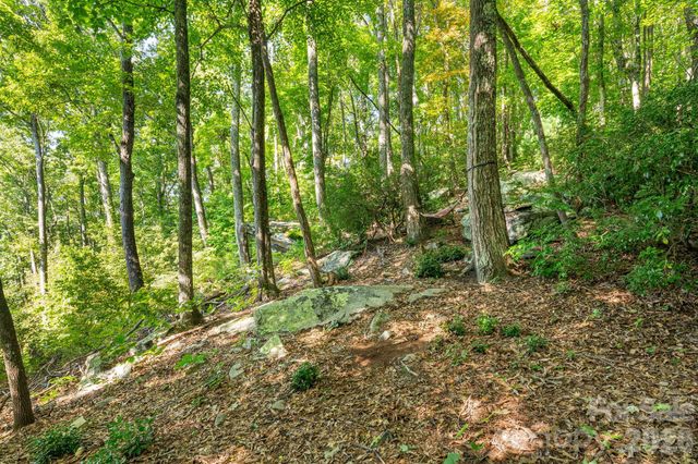 107 Copperhead Cove, Fairview, NC 28730