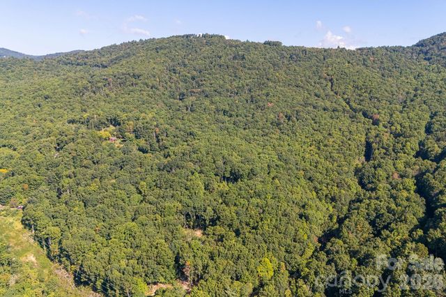107 Copperhead Cove, Fairview, NC 28730