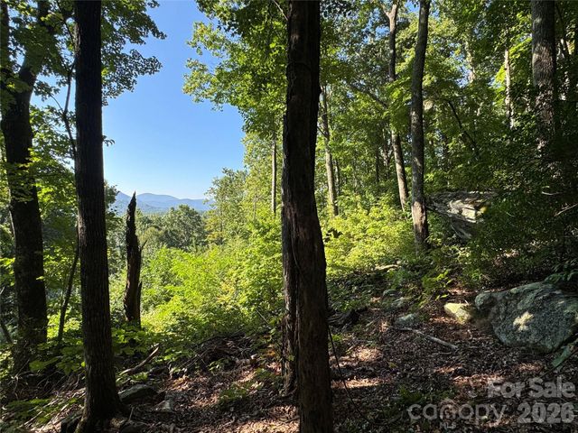 107 Copperhead Cove, Fairview, NC 28730