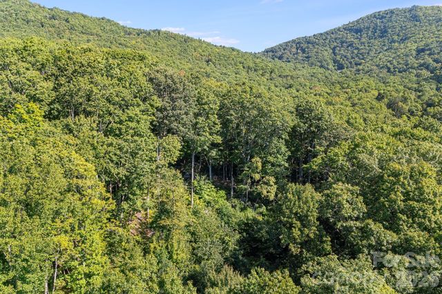 107 Copperhead Cove, Fairview, NC 28730