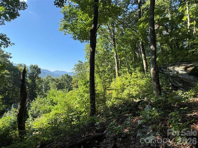 107 Copperhead Cove, Fairview, NC 28730