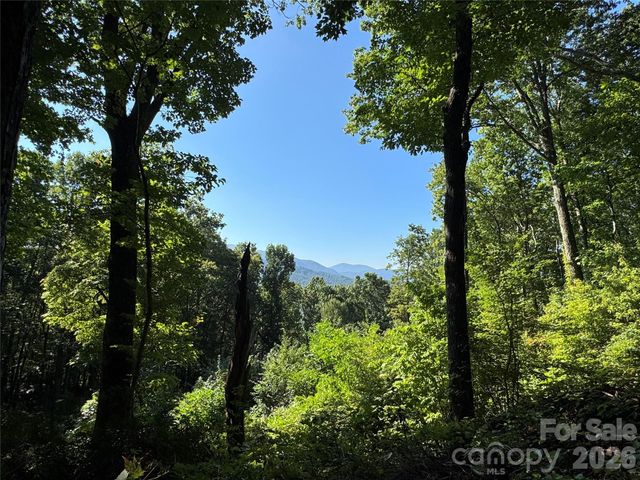 107 Copperhead Cove, Fairview, NC 28730