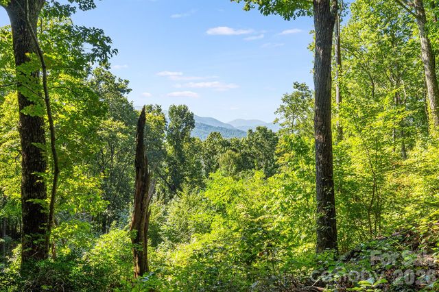 107 Copperhead Cove, Fairview, NC 28730
