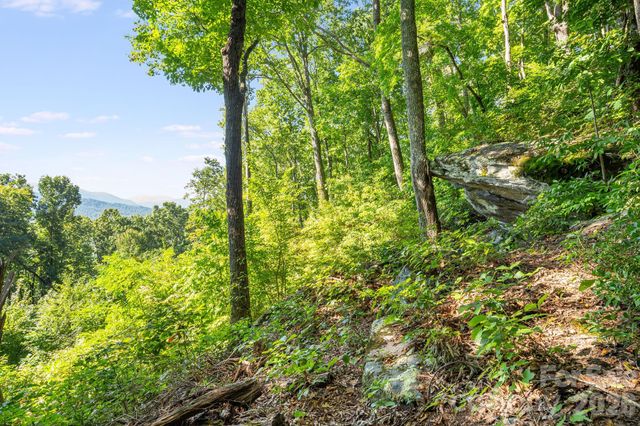 107 Copperhead Cove, Fairview, NC 28730