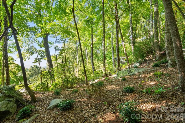 107 Copperhead Cove, Fairview, NC 28730