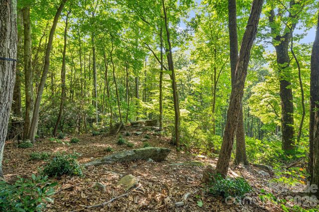 107 Copperhead Cove, Fairview, NC 28730