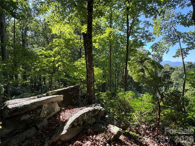 107 Copperhead Cove, Fairview, NC 28730