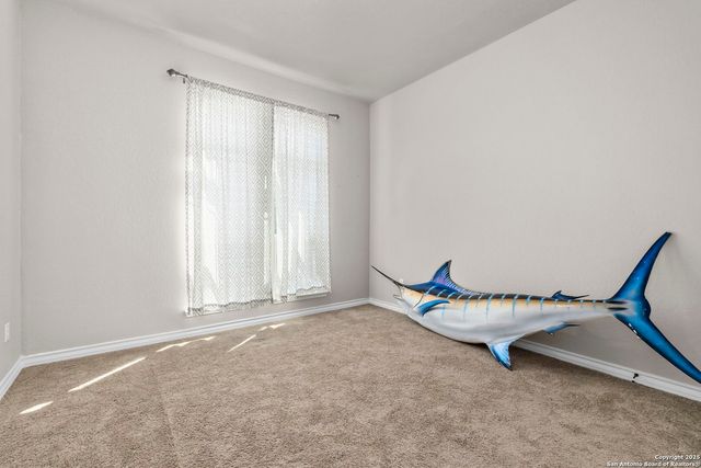 11723 BRICEWOOD TIP, San Antonio, TX 78254