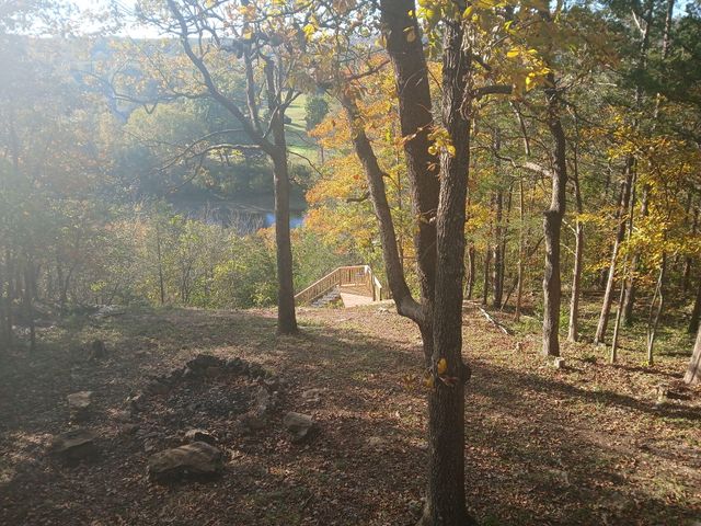 704 Iowa Colony Road, Hollister, MO 65672