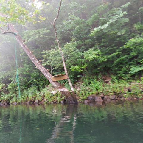 704 Iowa Colony Road, Hollister, MO 65672