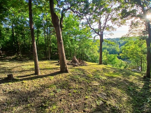 704 Iowa Colony Road, Hollister, MO 65672