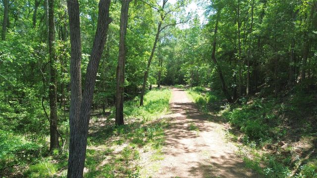 TBD Cr 2125, Crockett, TX 75835