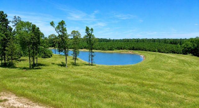 TBD Cr 2125, Crockett, TX 75835