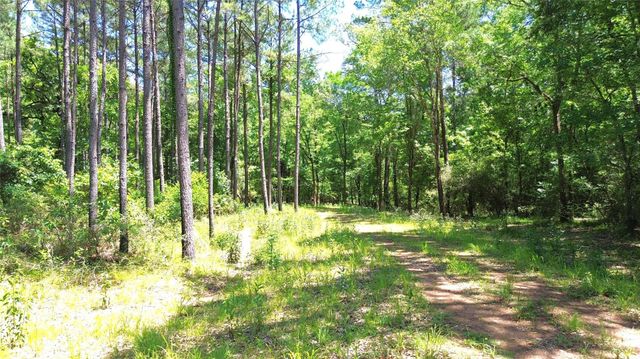 TBD Cr 2125, Crockett, TX 75835