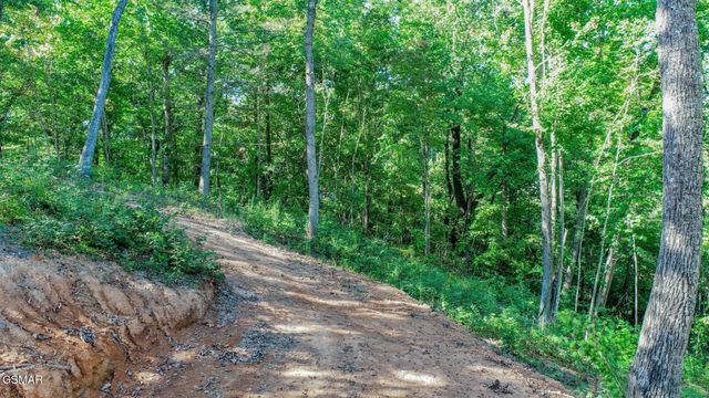 113 Huffman Way, Newport, TN 37821