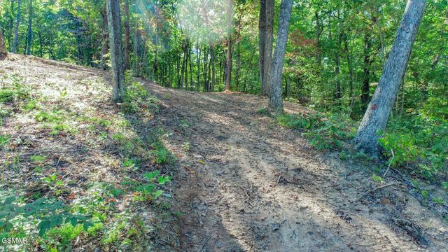 113 Huffman Way, Newport, TN 37821