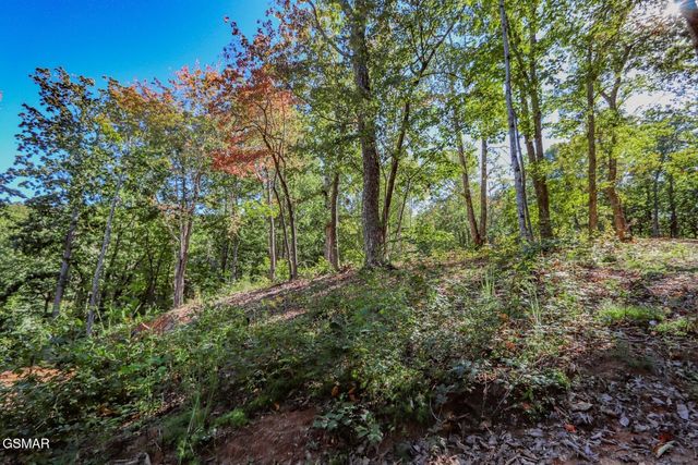 113 Huffman Way, Newport, TN 37821