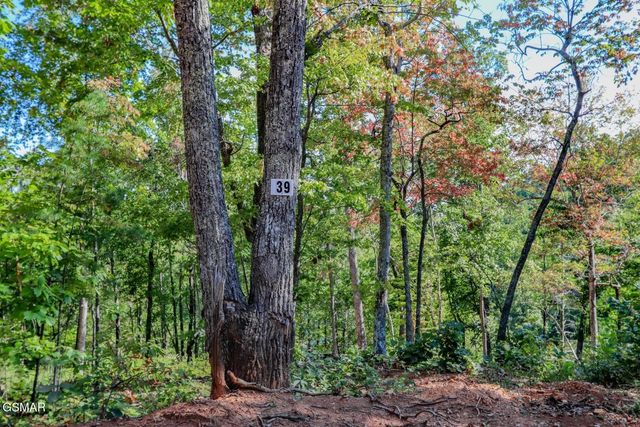 113 Huffman Way, Newport, TN 37821