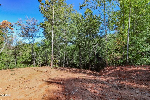 113 Huffman Way, Newport, TN 37821