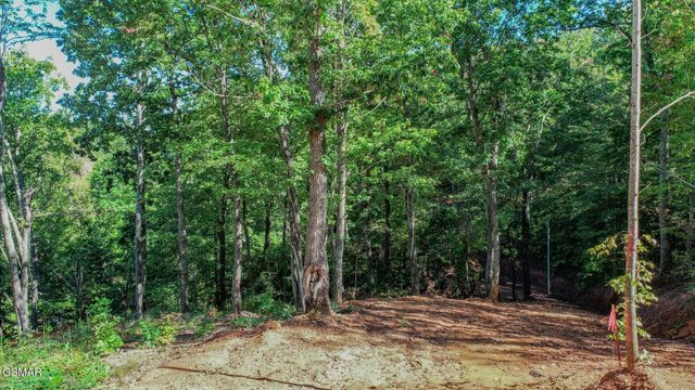 113 Huffman Way, Newport, TN 37821