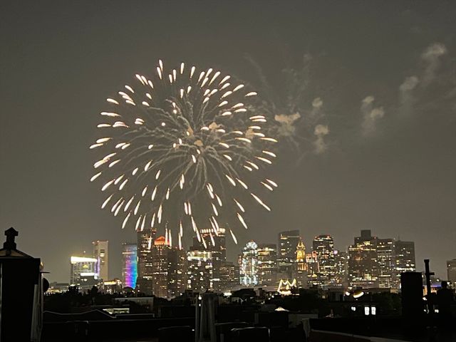 46 Geneva Street 3, Boston, MA 02128